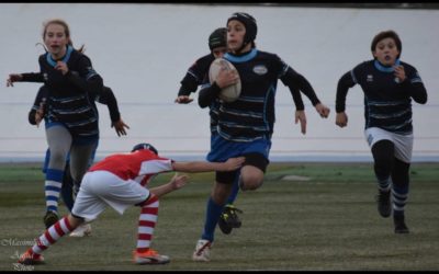 Imperia Rugby under 12 in massa al Carlini di Genova: importanti realtà in campo
